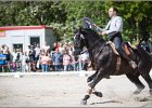 Pferd International 201